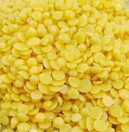 Candelilla